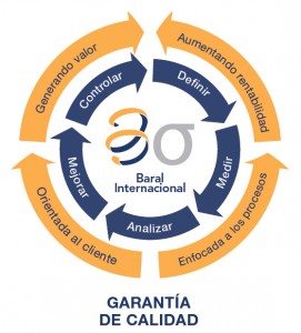 Garantia Baral grande gris